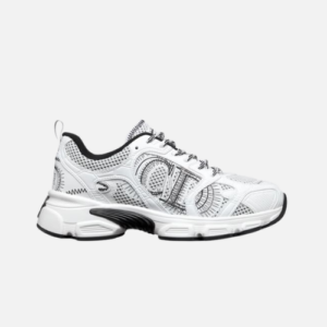 Dior Chrono White and Grey