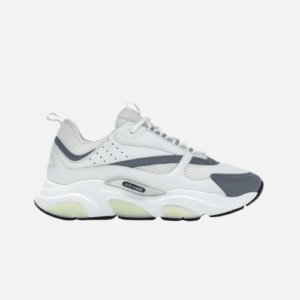 Dior B22- White Silver