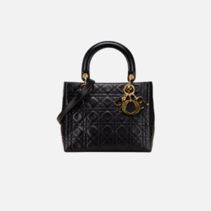 Bag Dior