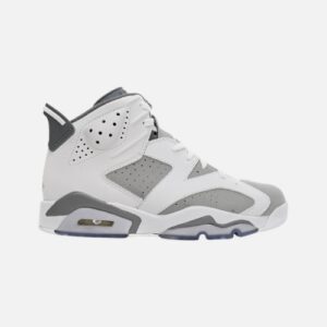 Air Jordan 6- Cool Grey