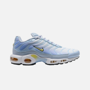Nike Air Max Plus TN Body Fade